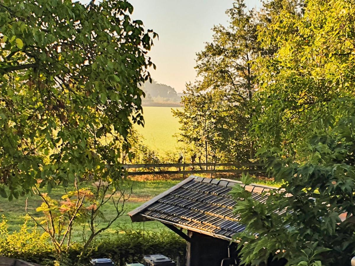 B&B De Nieuwenhof 'De Voorkamer' Melderslo エクステリア 写真