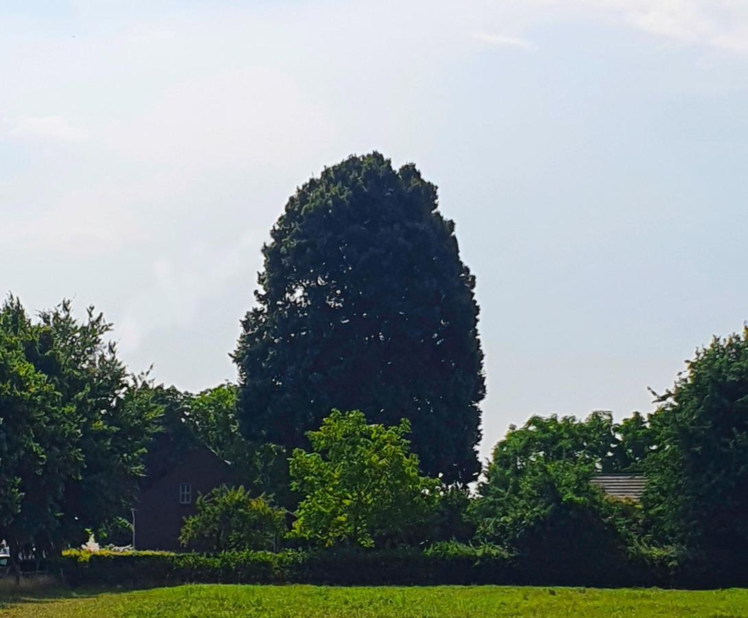 B&B De Nieuwenhof 'De Voorkamer' Melderslo エクステリア 写真