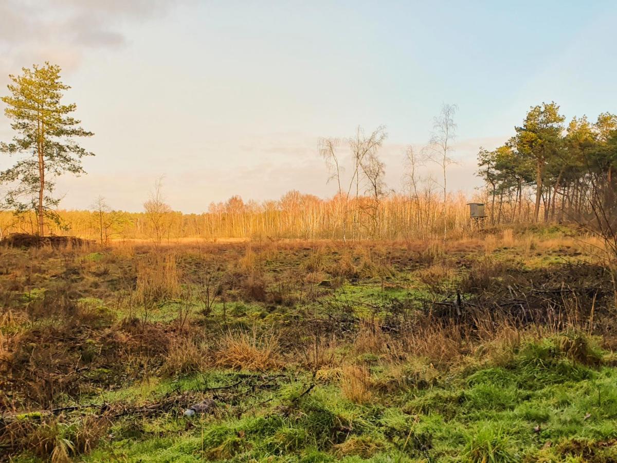 B&B De Nieuwenhof 'De Voorkamer' Melderslo エクステリア 写真