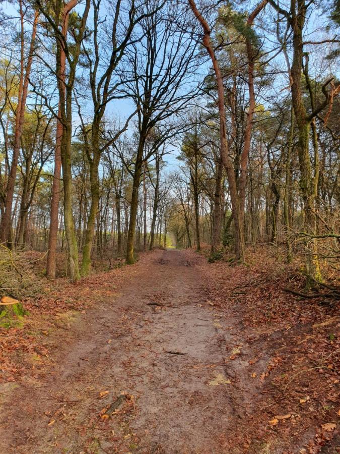 B&B De Nieuwenhof 'De Voorkamer' Melderslo エクステリア 写真