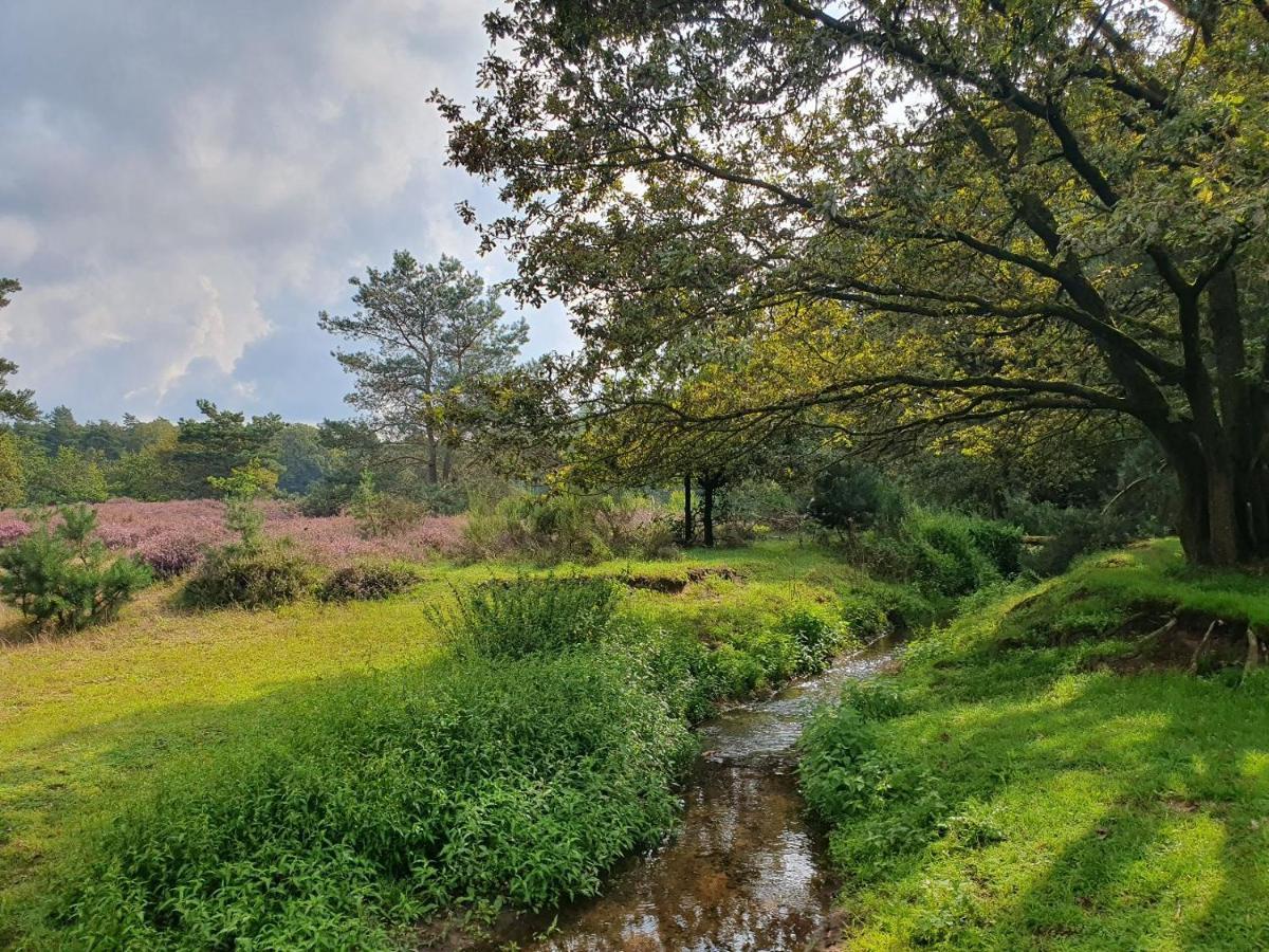 B&B De Nieuwenhof 'De Voorkamer' Melderslo エクステリア 写真